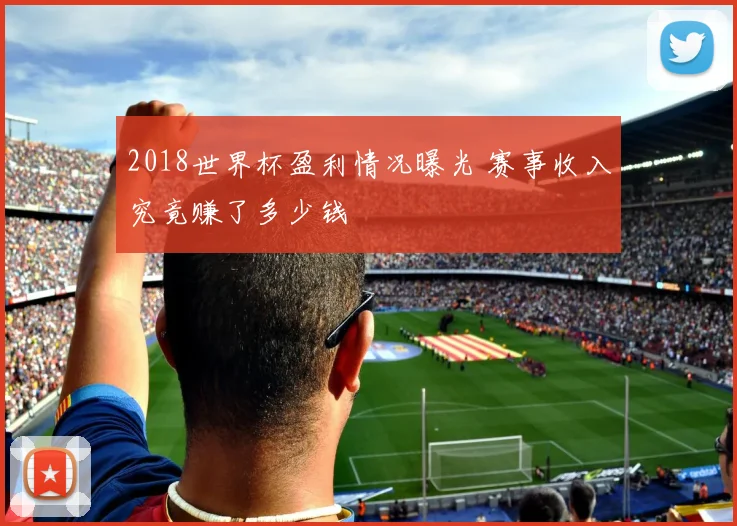 2018世界杯盈利情况曝光 赛事收入究竟赚了多少钱