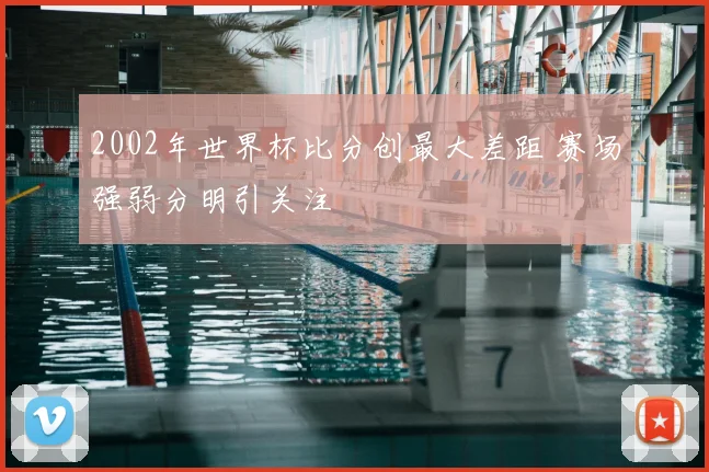 2002年世界杯比分创最大差距 赛场强弱分明引关注