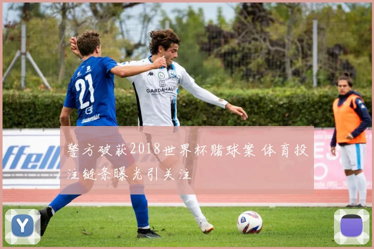 警方破获2018世界杯赌球案 体育投注链条曝光引关注