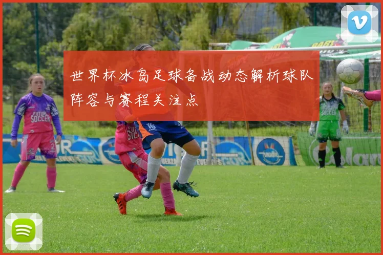 世界杯冰岛足球备战动态解析球队阵容与赛程关注点